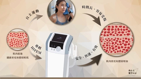 肌動腹肌見證