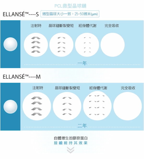 洢蓮絲 洢蓮絲