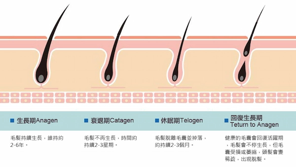 全效彩衝光 全效彩衝光