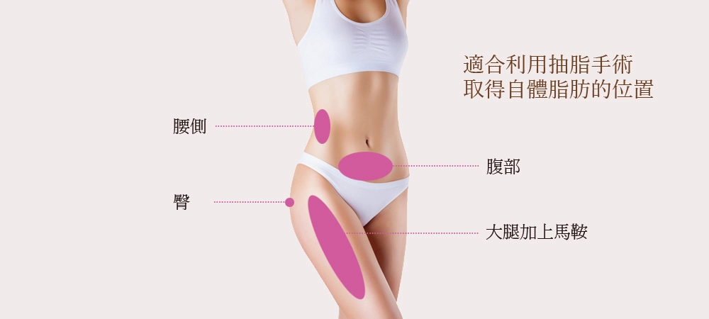 臉部補脂 臉部補脂