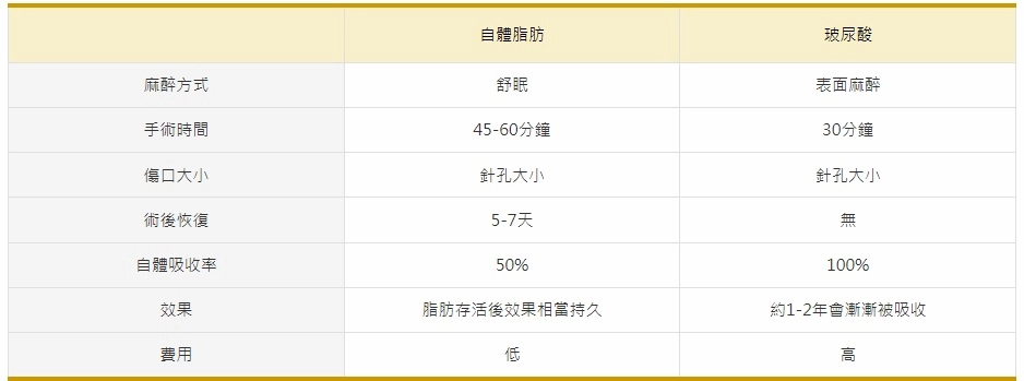 臉部補脂 臉部補脂