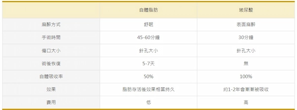 臉部補脂 臉部補脂