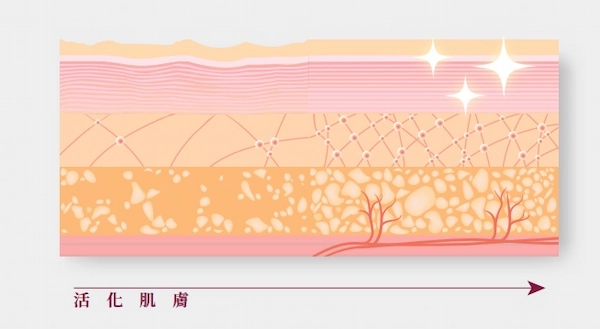 童顏針舒顏萃 童顏針舒顏萃