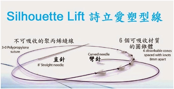 詩立愛塑型線 詩立愛塑型線