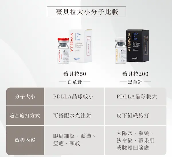 薇貝拉7 薇貝拉7
