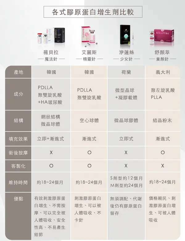 薇貝拉21 薇貝拉21