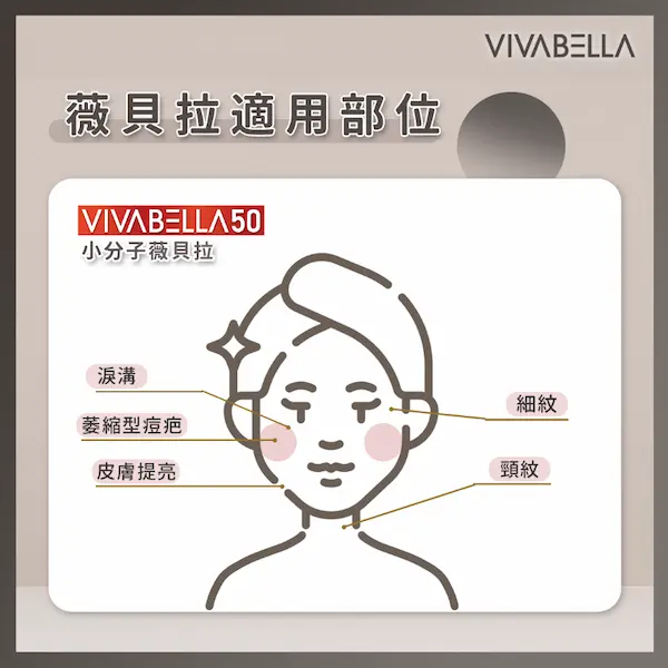 薇貝拉8 薇貝拉8